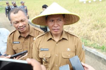 Pemkab Tulungagung siapkan irigasi pompa antisipasi kekeringan