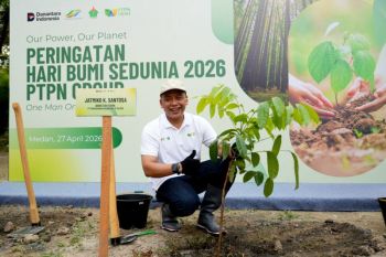 PalmCo tanam 50 ribu bibit pohon demi jaga keberlanjutan lingkungan