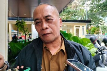 Disdag: Pasar Rembiga jadi sentra penjualan ikan hias percontohan