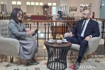 Georgia plays a key role in securing global energy: Ambassador