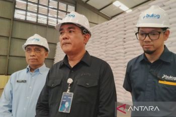 Bulog Sumut siap distribusikan jagung SPHP ke peternak ayam petelur