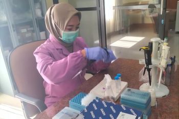 Balai Karantina NTB memperketat pengawasan ternak melalui uji PCR
