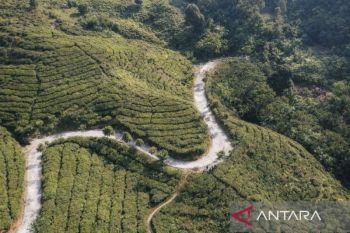 Pemkab Bogor targetkan infrastruktur Malasari hingga flyover Bomang tuntas