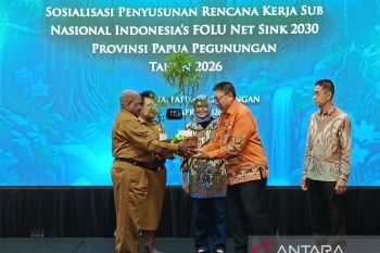 Kemenhut bagikan pohon ke Pemprov Papua Pegunungan guna lindungi hutan