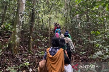 Kaltim siapkan pergub demi kendalikan kebakaran hutan