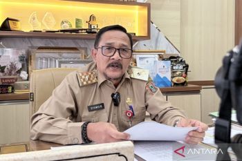 DPKP Kalsel siapkan 60.000 bibit cabai tekan inflasi pangan daerah