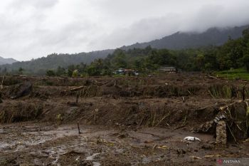 Sumbar pusatkan gerakan tanam serentak nasional di Agam