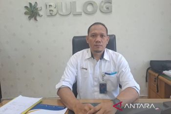 Bulog Bangka pastikan stok beras cukup hingga empat bulan