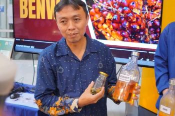 Menyalakan Negeri dari sawit