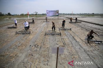 Pupuk Indonesia dukung Gerakan Percepatan Tanam di Sergai