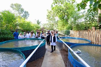 Banyuwangi dorong regenerasi petani lewat program Jagoan Tani