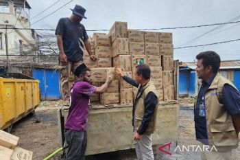 Bulog Papua distribusikan 1,12 juta liter MinyaKita