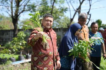 Pemkot Makassar target kemandirian pangan guna memperkuat ekonomi warga