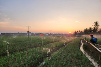 Pengguna EV PLN di Sulselrabar capai 4.207 pelanggan pada 2026