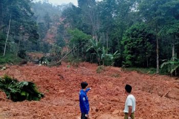 Sawah dan kebun warga terdampak longsor di Lebak