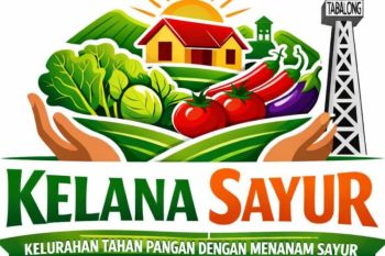 Kelurahan Sulingan - UPT Balai Benih Tabalong terapkan gerakan menanam sayur