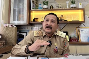 DPKP Kalsel: Lumbung pangan tingkatkan daya simpan dan harga padi