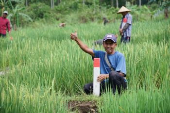 Simak tips untuk menjaga tanah agar tidak diserobot orang lain