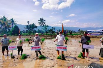 Pemkab Agam usulkan 20 ekskavator ke Kementan bersihkan material longsor