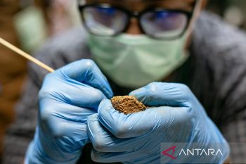 Belajar konservasi fosil purbakala di Situs Sangiran