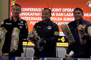 Polda Sumsel tangkap bandar pemilik 220 kg ganja di Empat Lawang