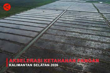 Feature - Akselerasi Ketahanan Pangan Kalimantan Selatan 2026 Bagian 2