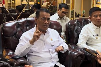 Mentan sebut cadangan pangan RI kuat untuk hadapi tekanan global