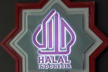 BPJPH pacu produksi 10 ribu sertifikat halal per hari demi percepatan