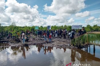 PBD tanam 36.000 mangrove sebagai aksi mitigasi perubahan iklim