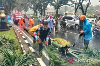 Pengendara sepeda motor meninggal tertimpa pohon di Jalan Tegar Beriman Bogor