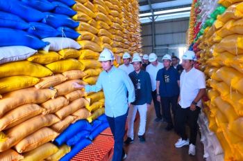 DPR RI cek stok beras di Bulog Kolaka guna jaga stabilitas harga