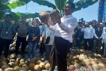 Menteri Pertanian sidak pengembangan benih kelapa di Sulut