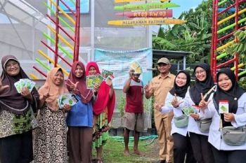 DKPP Kota Madiun gelar pemantauan kelompok pekarangan pangan lestari