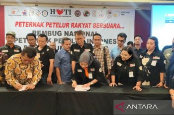 Pinsar Petelur minta pemerintah jamin swasembada telur ayam