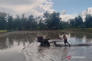Pemkab Blora menyalurkan 1,1 juta kg bantuan benih tanaman padi dan jagung