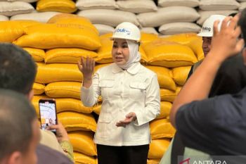Anggota DPR RI Siap Kawal Rencana Pembangunan Kereta Api di Kaltara
