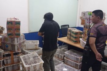BKSDA Bengkulu-Lampung gagalkan penyelundupan 1.532 burung di Tol Bakter