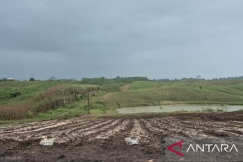 Bandung Barat siapkan strategi budi daya adaptif El Nino