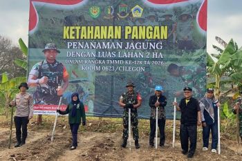 TNI tanam jagung untuk perkuat ketahanan pangan