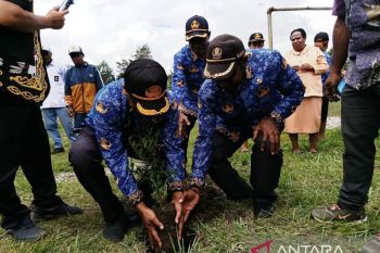 Disdikbud Papua Pegunungan tanam 100 pohon di SMA Kristen Wamena