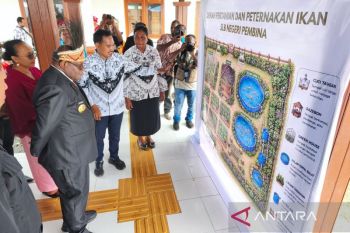 Papua Tengah fokus pendidikan vokasi anak berkebutuhan khusus
