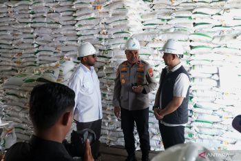 Yan Mandenas pantau stok dan penyaluran bantuan pangan di Bulog Mimika