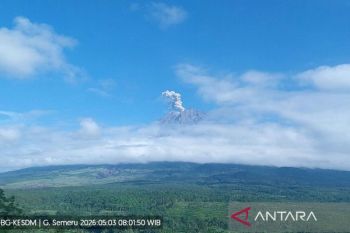 Gunung Semeru erupsi Minggu pagi, tinggi letusan capai 900 meter