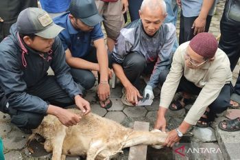 50 peserta mengikuti pelatihan penyembelihan hewan kurban di Bandongan