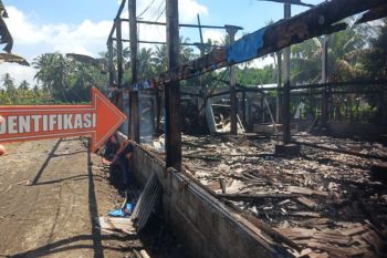 Kandang DOC di Suralaga Terbakar, 9.500 ayam mati