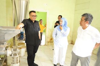 Pemkab Kukar maksimalkan industri kratom untuk naikkan PAD