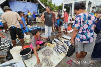BPS catat emas dan ikan tuna sumbang inflasi Papua pada April 2026