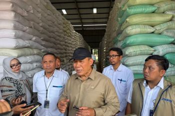 Stok melimpah, legislator nilai beras Bulog berkualitas