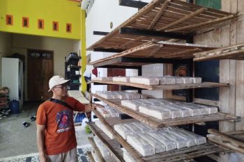 Perajin tempe di Ponorogo siasati ukuran imbas kenaikan harga kedelai