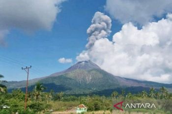 Jepang kurangi 67,2% impor minyak dari Timur Tengah